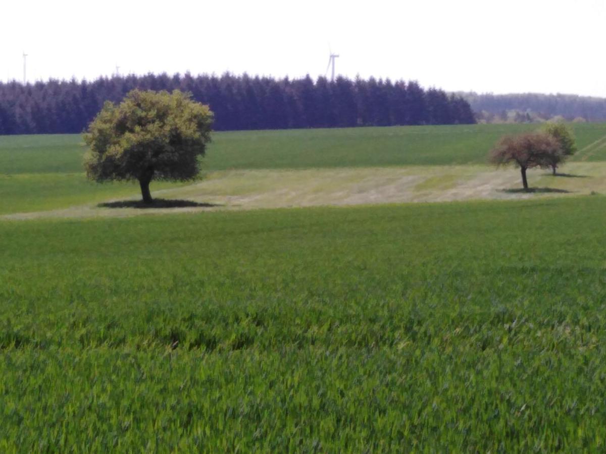 Ferienhaus Cilla Beltheim Dış mekan fotoğraf